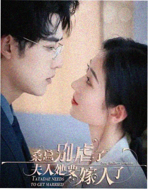 白塔风云剧集在线观看
